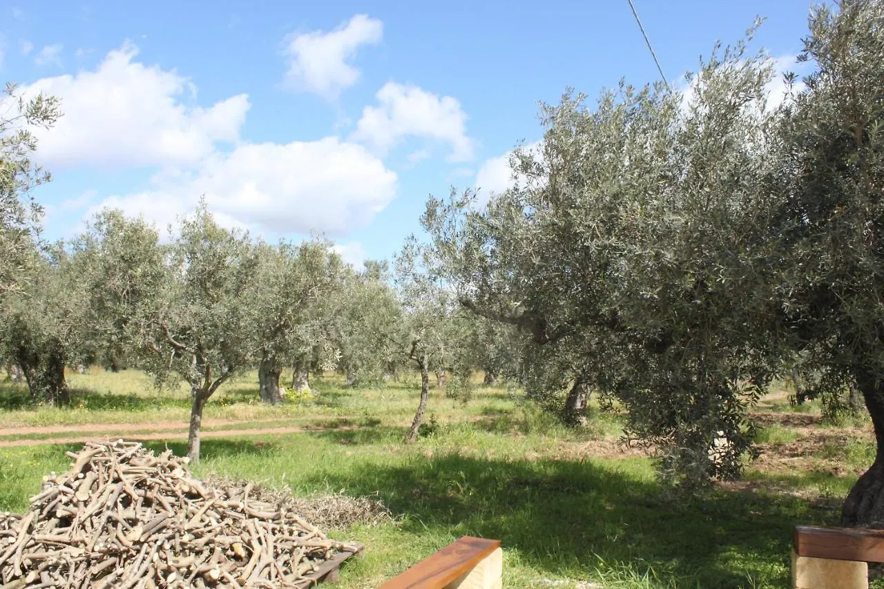 Tenuta Ferlito Marinella di Selinunte Italia